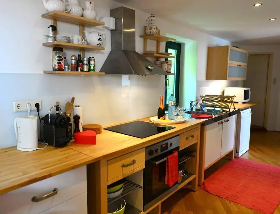Green Haven Roofgarden Penthouse In Central Area Vienna